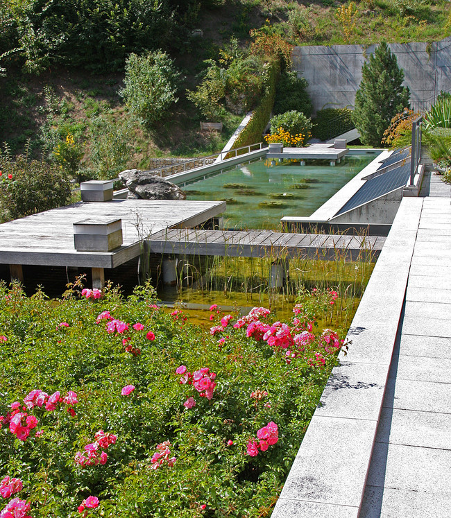 673_13_Neubau_Mehrfamilienhaus_Muri_b._Bern.jpg