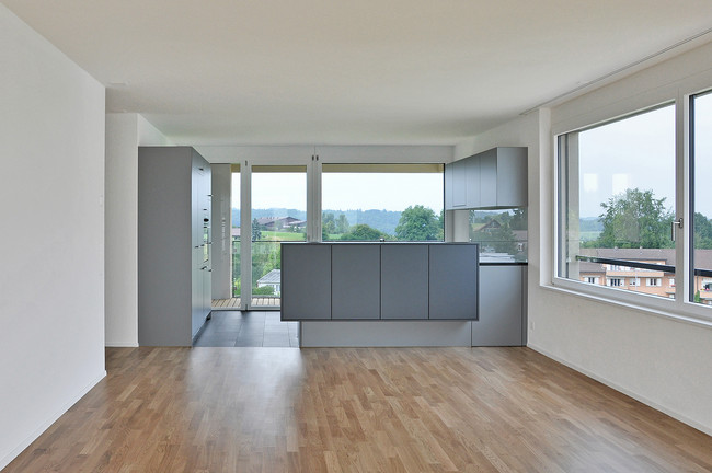 725_12_Neubau_Mehrfamilienhaus_Muenchenbuchsee_Wohnen_Kueche_silber.jpg